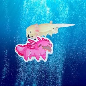 MUNCHalotl Axolotl Crazy Trending WaterProof Single Decor Accent Sticker